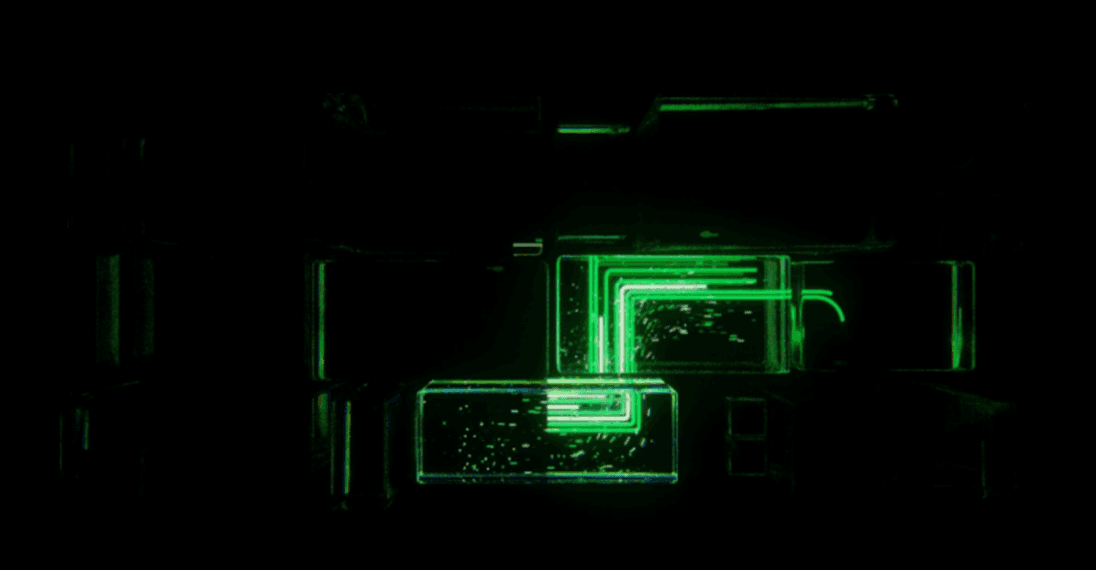 2021-2022| Nomee 年度总结