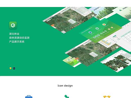 林业森林自然资源动态监测系统