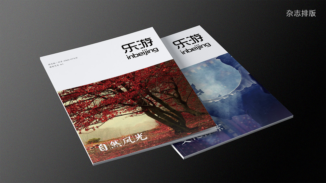 杂志排版 排版（图ZNTIwMzc5MjQ=） - 书籍/画册 - 站酷设计师啥也不知道BXR原创素材 - 站酷ZCOOL