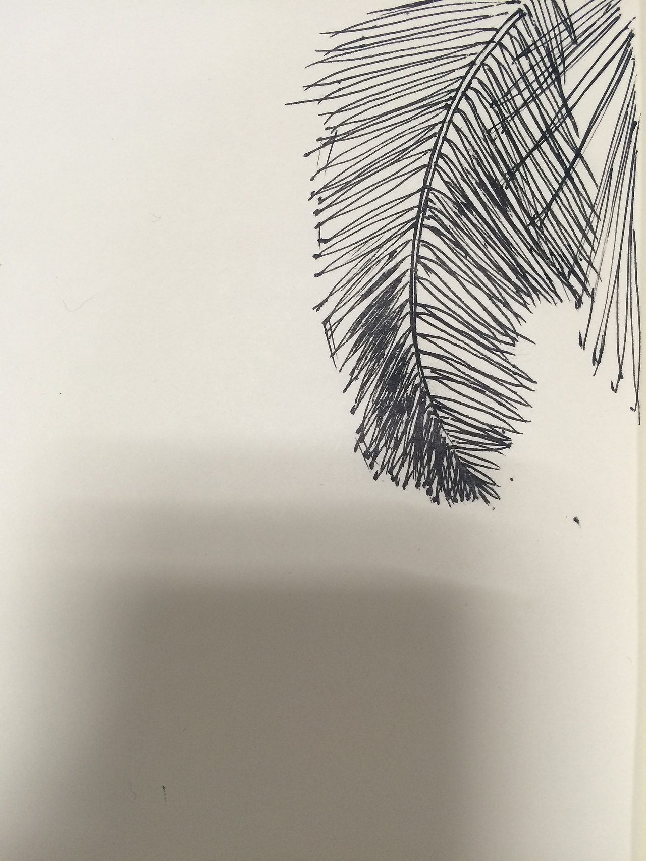 日常模仿（图ZNzE4NTYzODg=） - 创作习作 - 站酷设计师xiongxiaoxiong原创素材 - 站酷ZCOOL