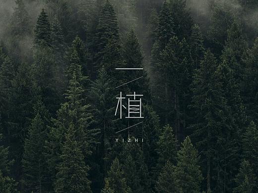 一植-品牌设计
