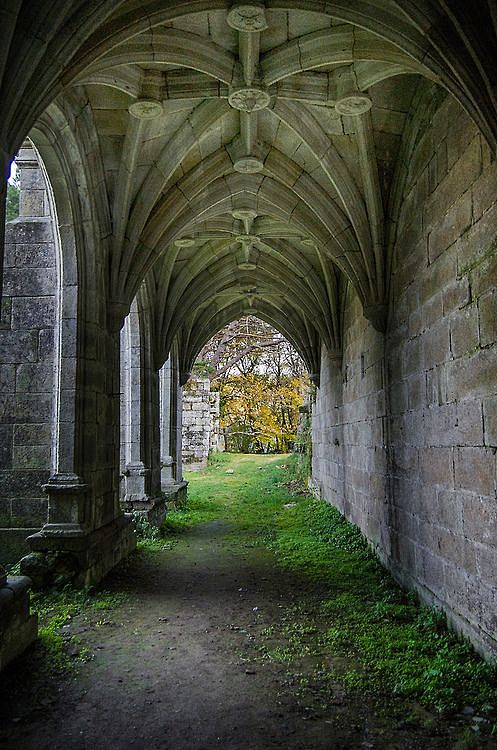 拍照时P为背景会很唯美