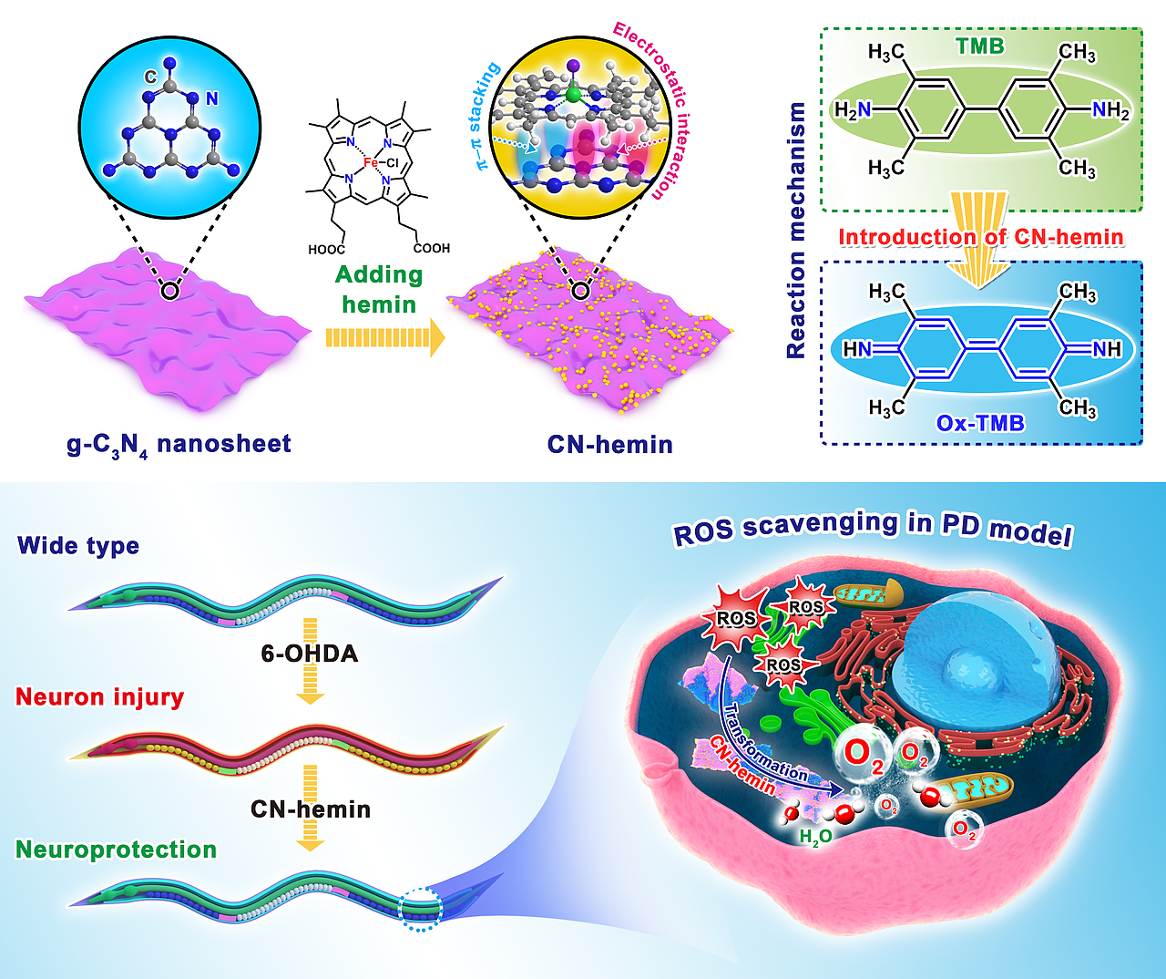 科研绘图—近期设计的生物学相关的论文机理图（图ZMjkzMjYyNjAw） - 创作习作 - 站酷设计师林间有灵原创素材 - 站酷ZCOOL