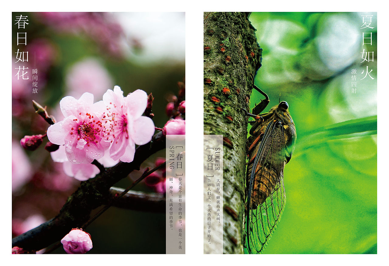 个人旅游画册（图ZMTMxNjIyNjgw） - 书籍/画册 - 站酷设计师axxx1314原创素材 - 站酷ZCOOL