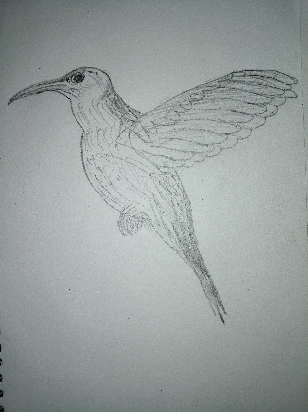 素描画|其他|其他|大凯zhao_原创作品-站酷zcool