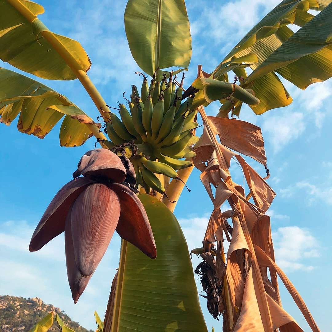 日常一拍 摄影师作品分享