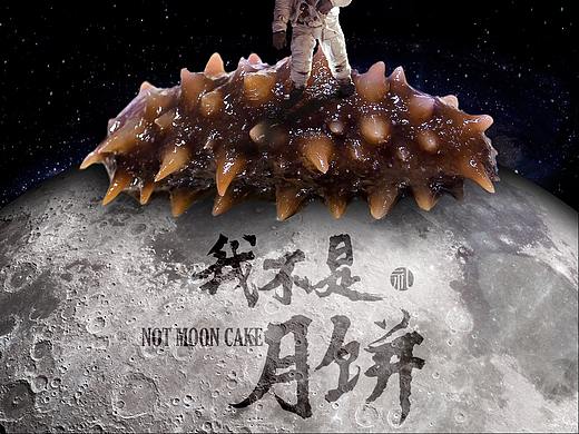 17年陈旧设计：海参概念产品项目设计