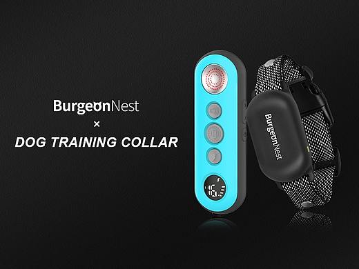 DOG TRAINING COLLAR-AMAZON（个人主页-ZNTQyODEyMTI=） - 电商 - 站酷设计师赛因sin丶原创素材 - 站酷ZCOOL