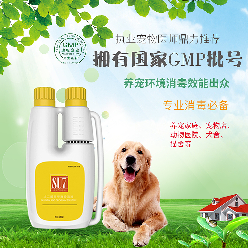 宠物消毒液详情，主图创作（图ZMTgwNjY2NDEy） - 电商 - 站酷设计师龙呀原创素材 - 站酷ZCOOL