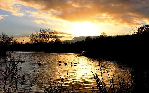 大学摄影随手拍拍（图ZMjUwOTI2MTY=） - 风光摄影 - 站酷设计师传媒摄影人原创素材 - 站酷ZCOOL