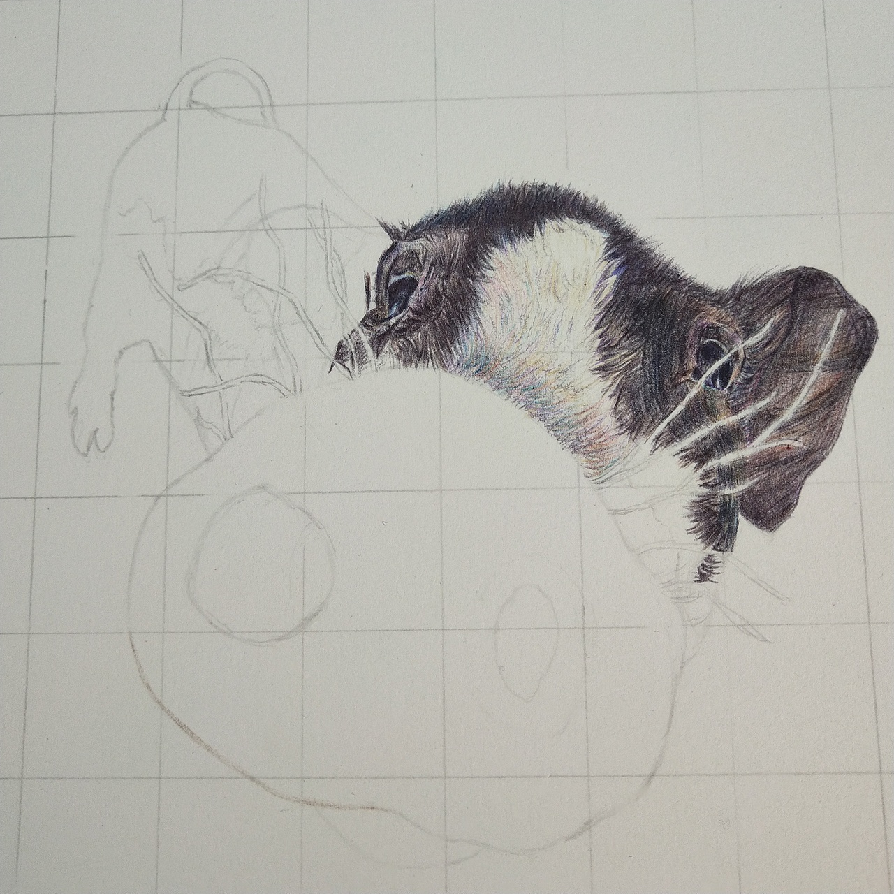 你在看也不能掩饰你是个居居