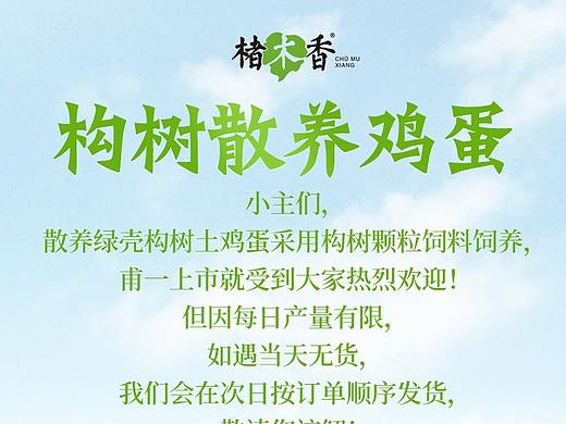 绿壳鸡蛋详情（个人主页-ZNDU3NDQ0NjQ=） - 电商 - 站酷设计师越努力越幸运2018原创素材 - 站酷ZCOOL