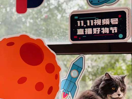 双十一视频推广物料（个人主页-ZNTYzMTE0MTY=） - 宣传物料 - 站酷设计师猛男阿秃原创素材 - 站酷ZCOOL