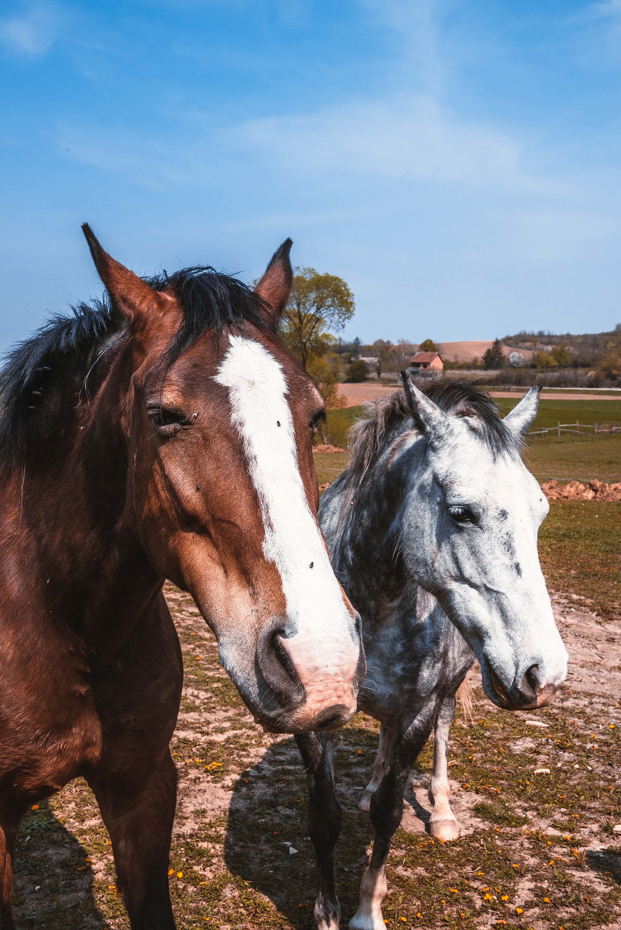 探访塞尔维亚 | 摄影游记
