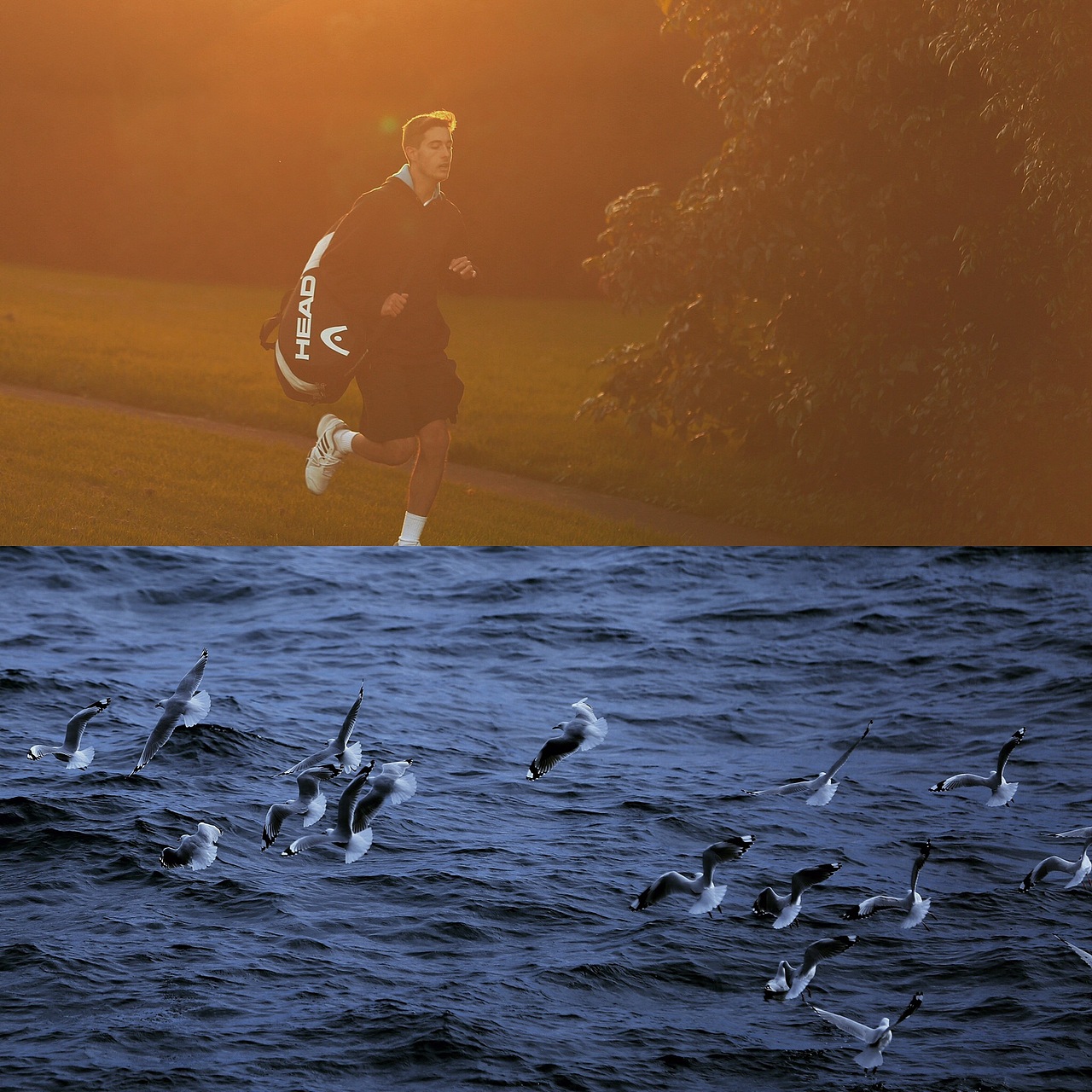 新西兰（图ZODIzNTU5MzY=） - 人文/纪实摄影 - 站酷设计师houweike原创素材 - 站酷ZCOOL