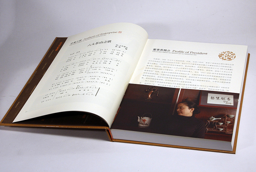 年鉴（图ZMTMyNDM4NzY=） - 书籍/画册 - 站酷设计师TIGER19原创素材 - 站酷ZCOOL