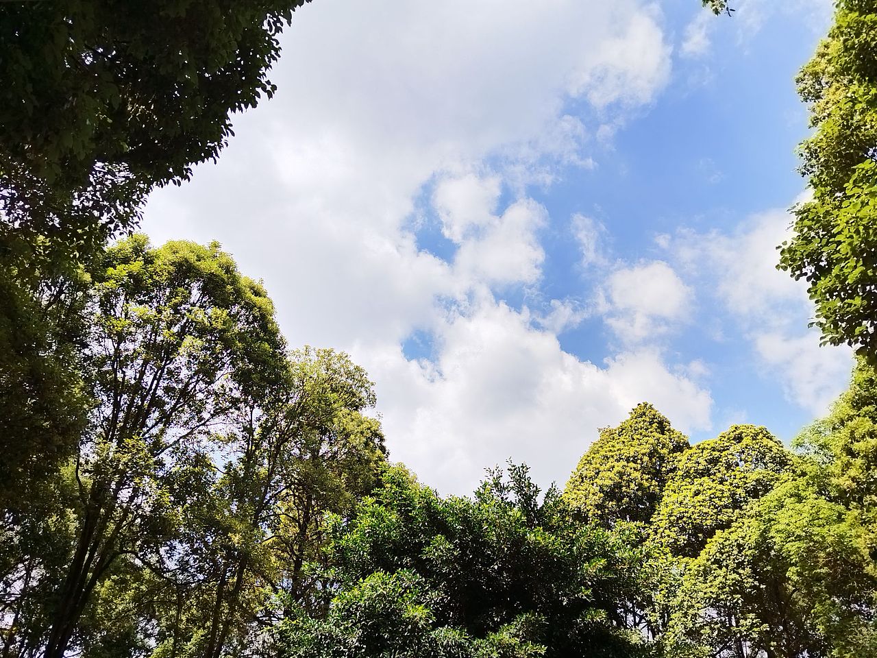 蓝天白云（图ZMzQxMzY2Mjg4） - 风光摄影 - 站酷设计师鹿焱原创素材 - 站酷ZCOOL