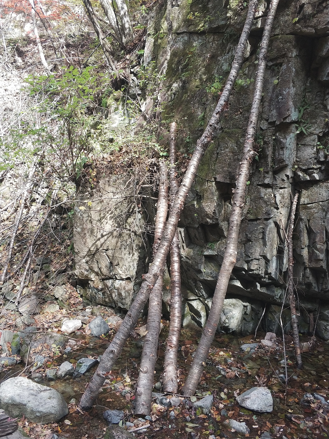 摄影 · 《绿石谷》