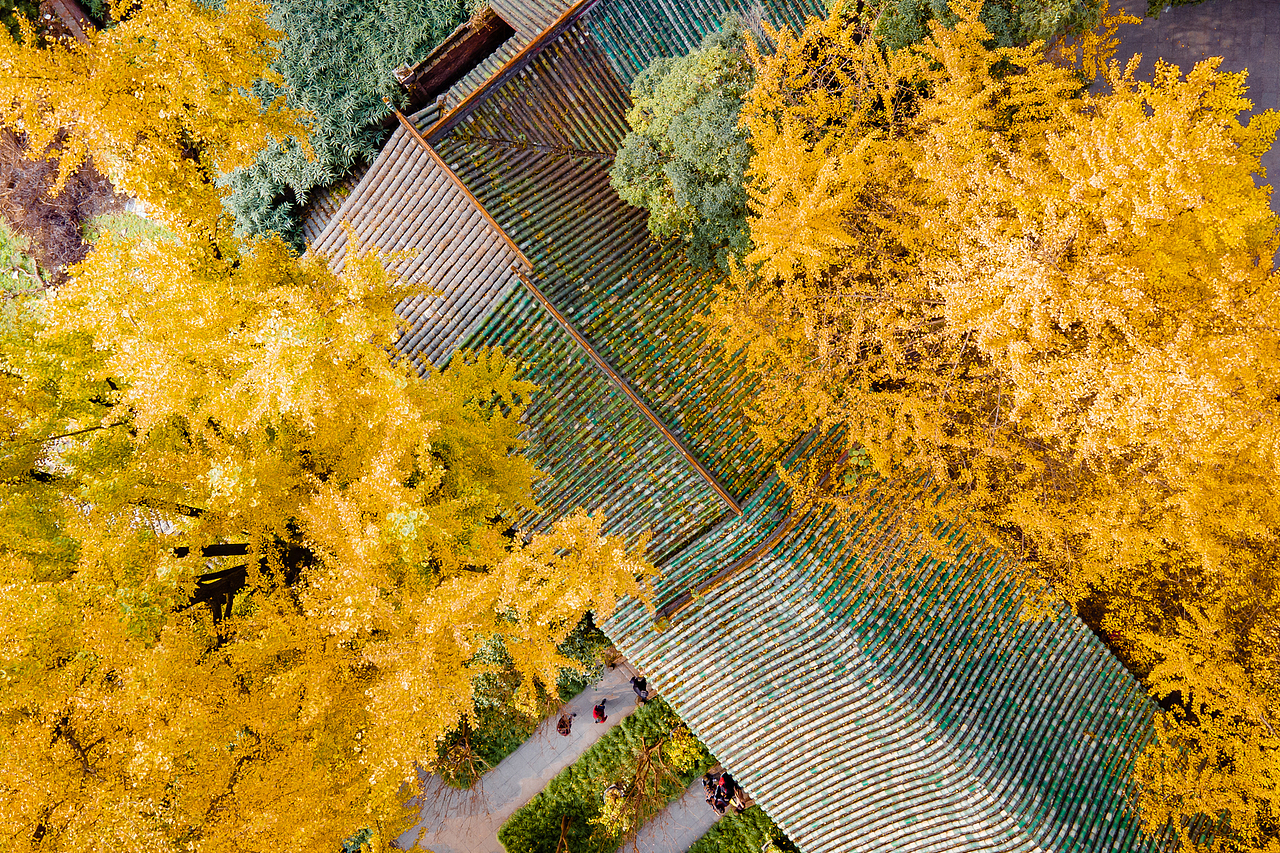 成都崇州罨画池