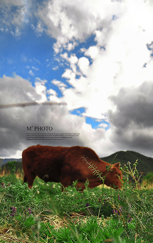 || 設計眼光去攝影 || 泸沽湖