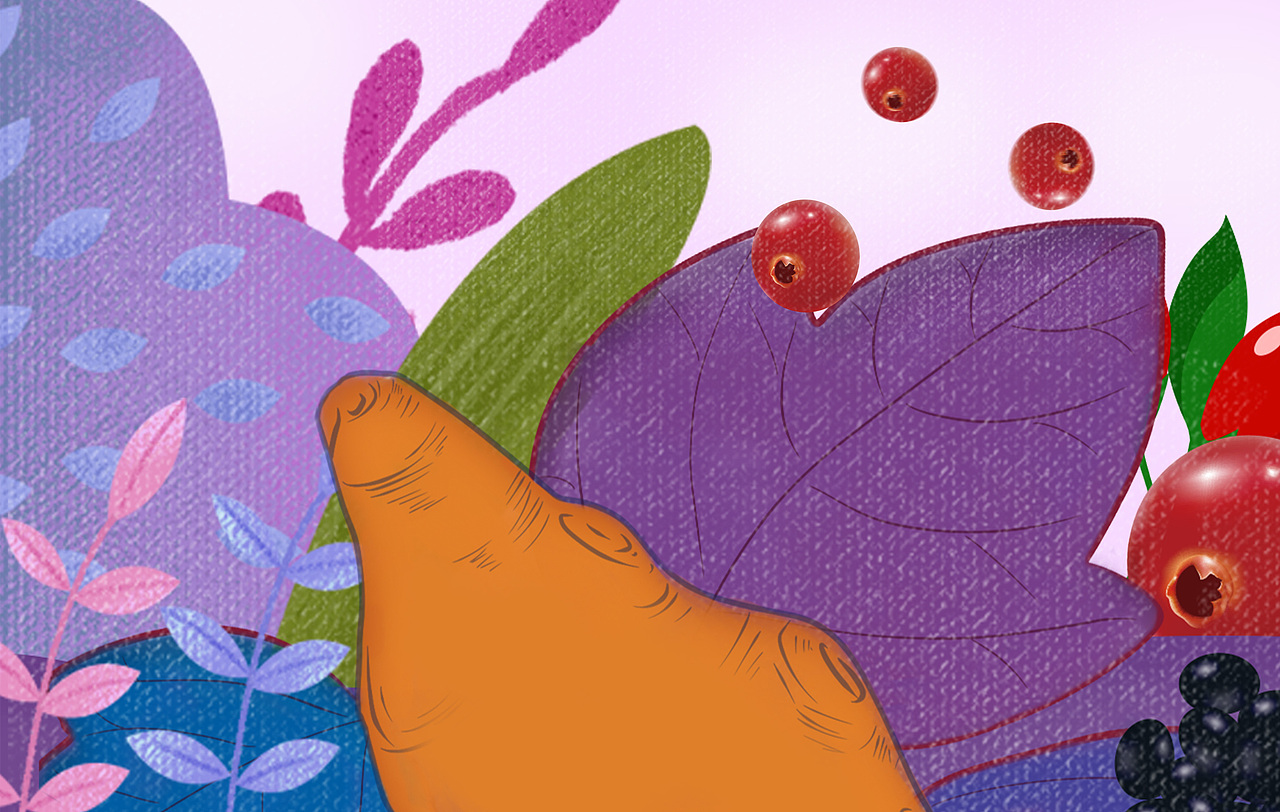 保健品/食品/蔓越莓/黑豆粉包装