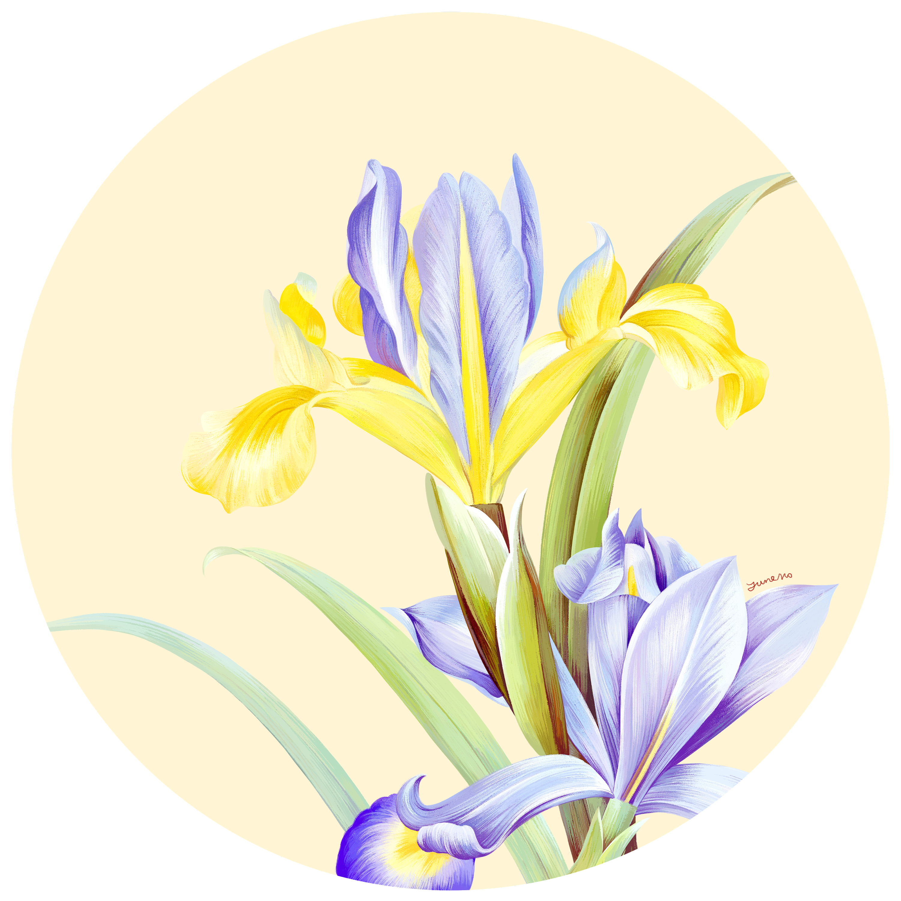 手绘花卉 艺术画 博物杂志复古风 |插画|商业插画|junemo - 原创作品 