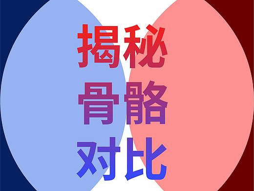 揭秘骨骼与对比