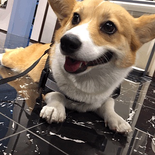 好久不见（图ZNzY4MzMyODQ=） - 绘画 - 站酷设计师seasonjune原创素材 - 站酷ZCOOL