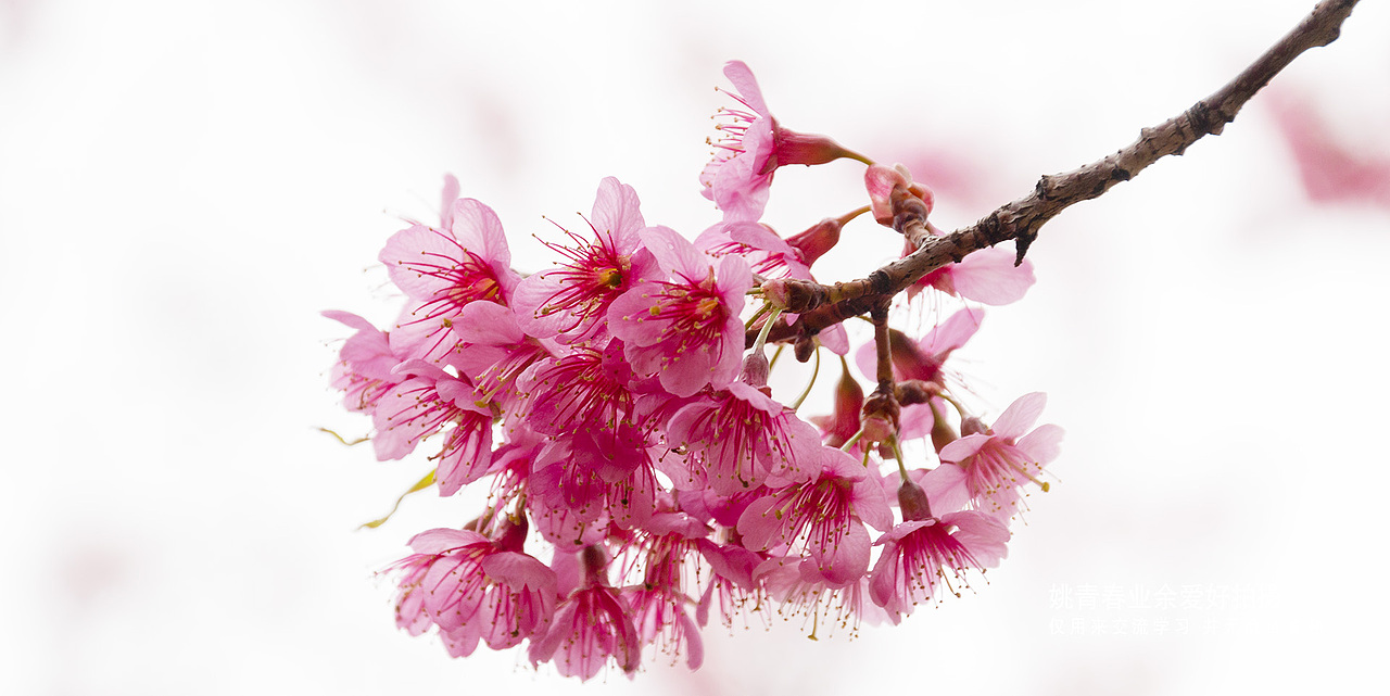 云南旅游攻略自助游必去自然风光山水风景姚青春照片（图ZMjU2MzczODMy） - 风光摄影 - 站酷设计师姚青春有你原创素材 - 站酷ZCOOL