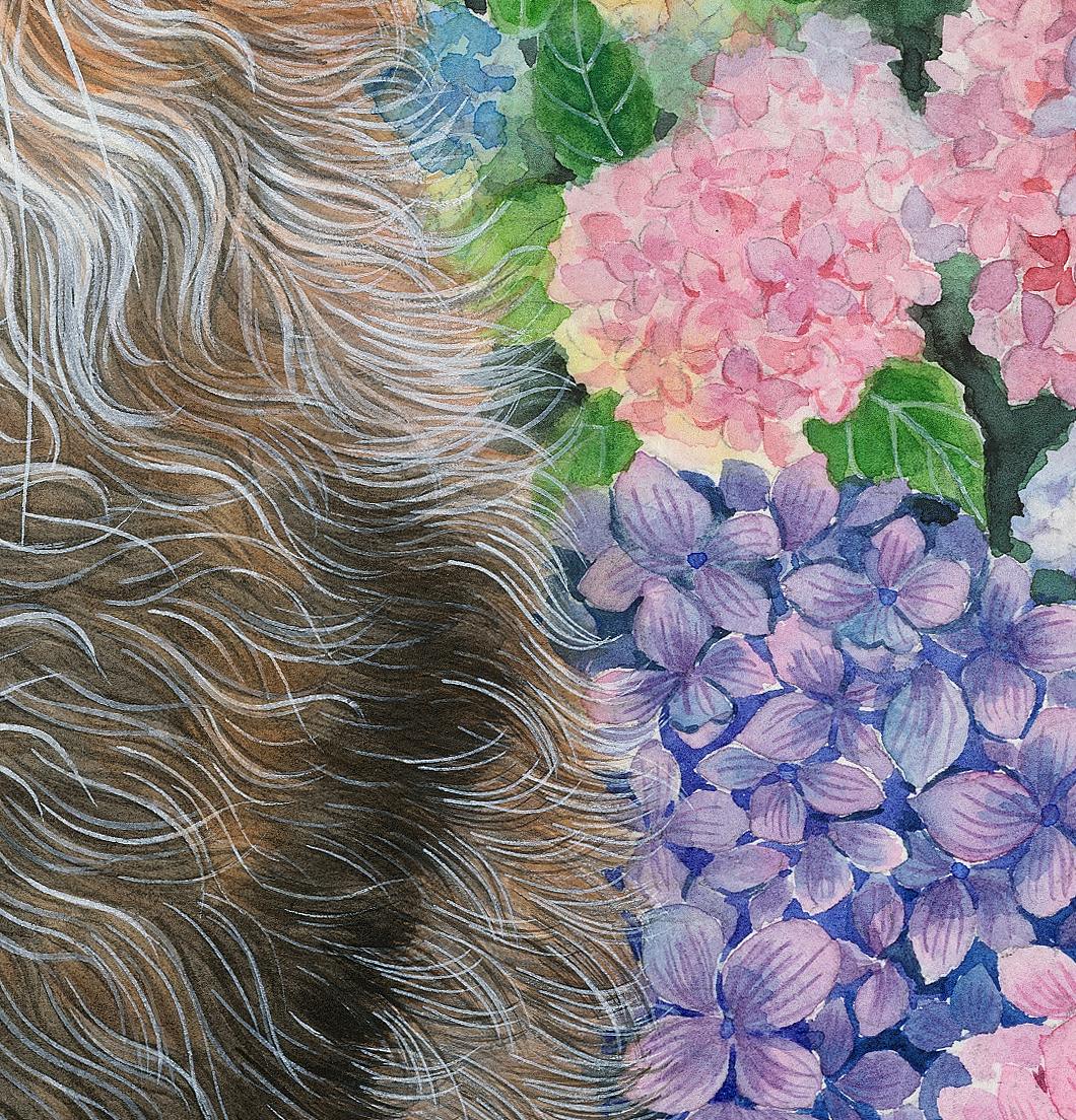 《八仙九猫》水彩插画系列