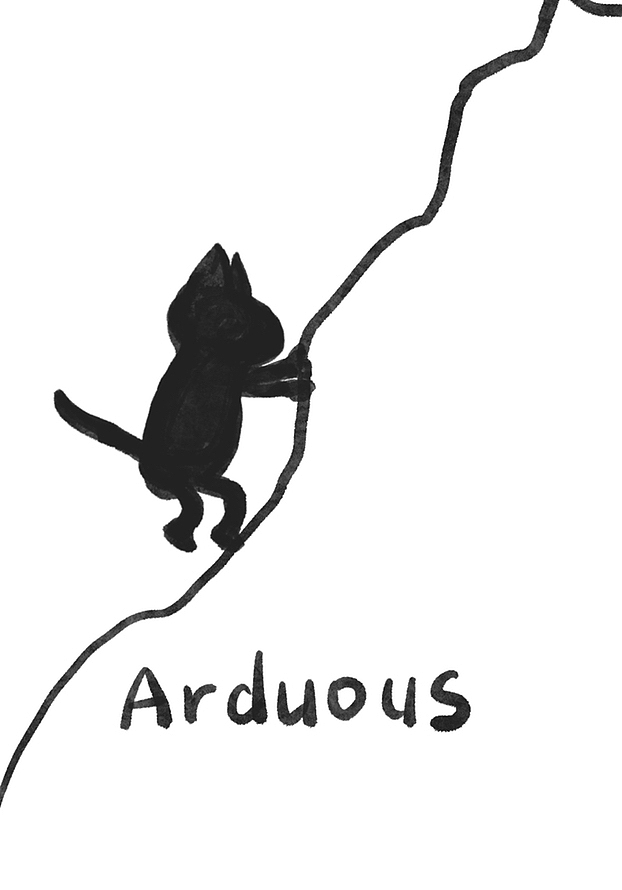 九月合集|黑白喵喵