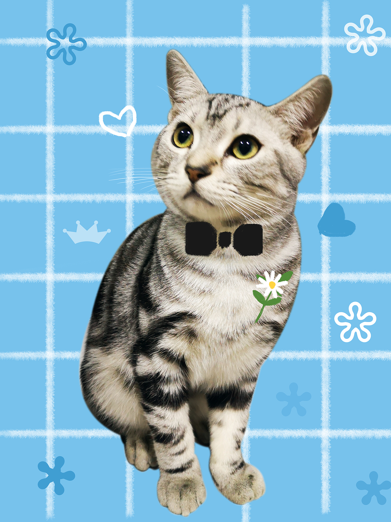 猫咪（图ZMjM3ODY3NTA0） - 海报 - 站酷设计师MAOMAOQ原创素材 - 站酷ZCOOL