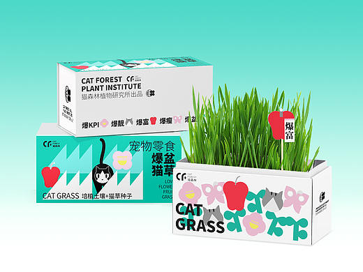 猫森林Cat forest___爆盆猫草 CAT GRASS
