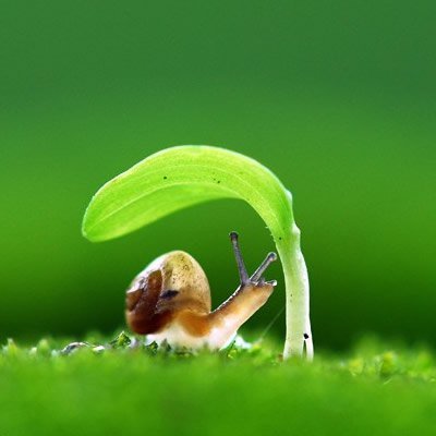 菇?jīng)瞿阍撍说膫€人主頁（背景預(yù)覽） - 主頁背景設(shè)置 - 站酷設(shè)計師菇?jīng)瞿阍撍嗽瓌?chuàng)素材 - 站酷ZCOOL