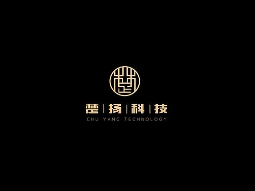 楚扬科技