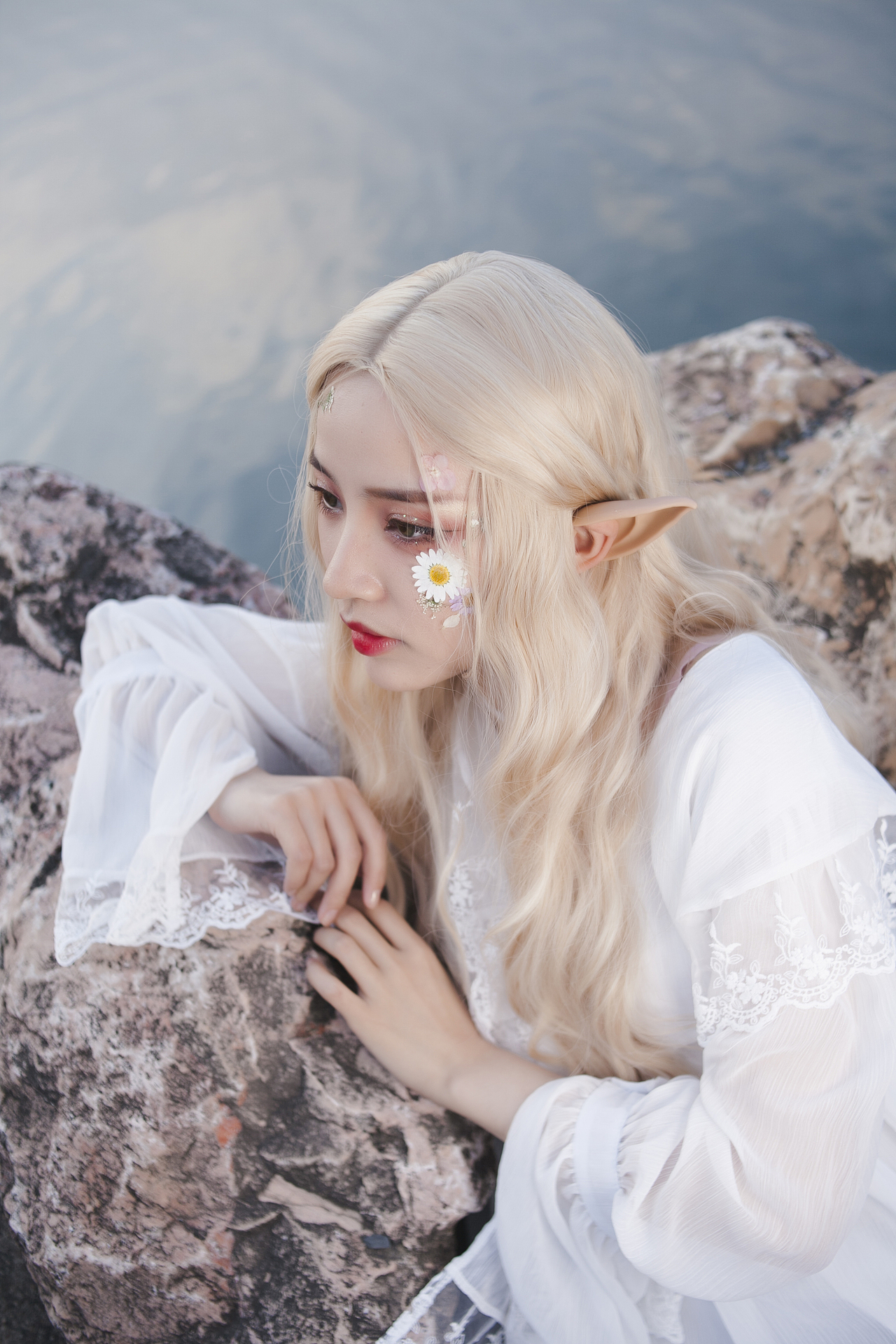 cheese奶酪白精灵