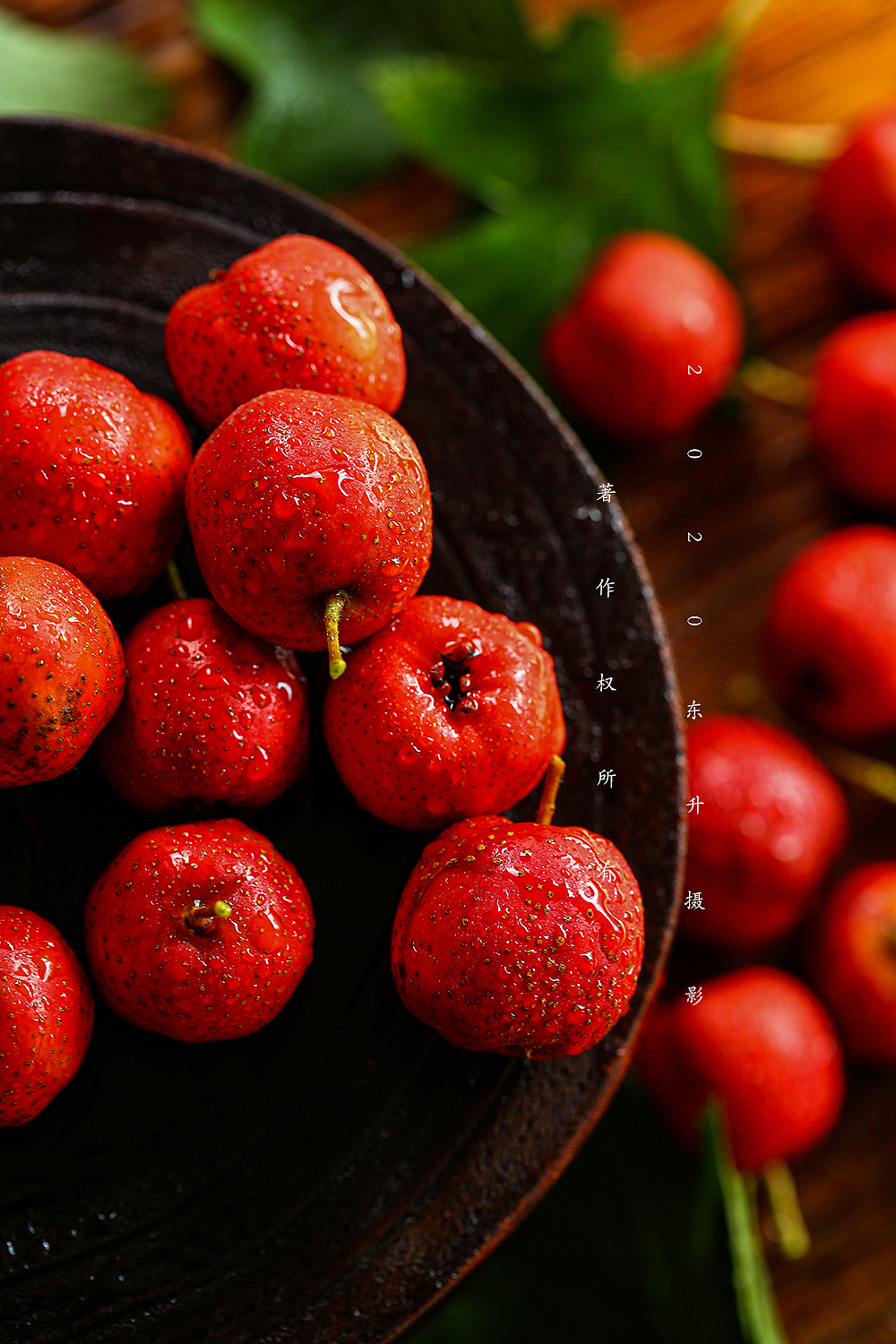 东升摄影工作室