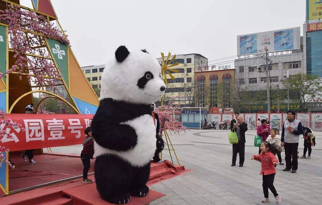 网红大熊猫，活动暖场。（图ZMTk1MjA3ODA0） - 其他 - 站酷设计师老北京铜人和小丑原创素材 - 站酷ZCOOL