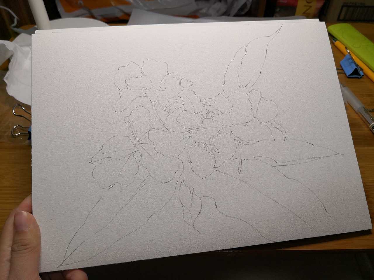 会发光的姜花——水彩花草（图ZMTI1MzU1Mzgw） - 绘画 - 站酷设计师Lara辣盐原创素材 - 站酷ZCOOL