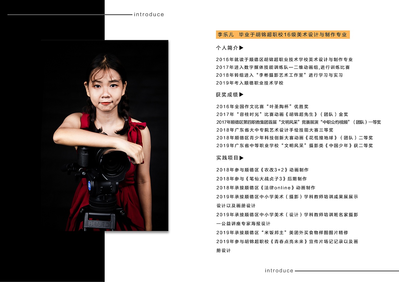 项目报告书