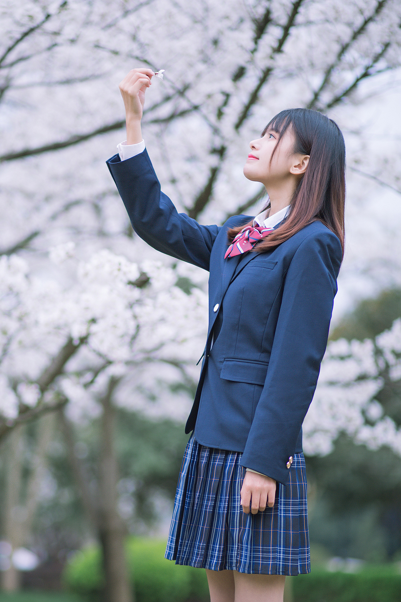 三月樱花（图ZMTU0MDUxNjQ0） - 人像摄影 - 站酷设计师摄影师红茶原创素材 - 站酷ZCOOL