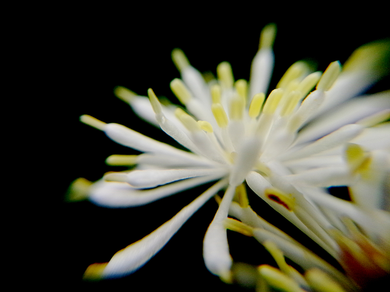 手机摄影拍拍拍~（图ZNTQyODY5OTI=） - 产品摄影 - 站酷设计师一大口黑锅原创素材 - 站酷ZCOOL