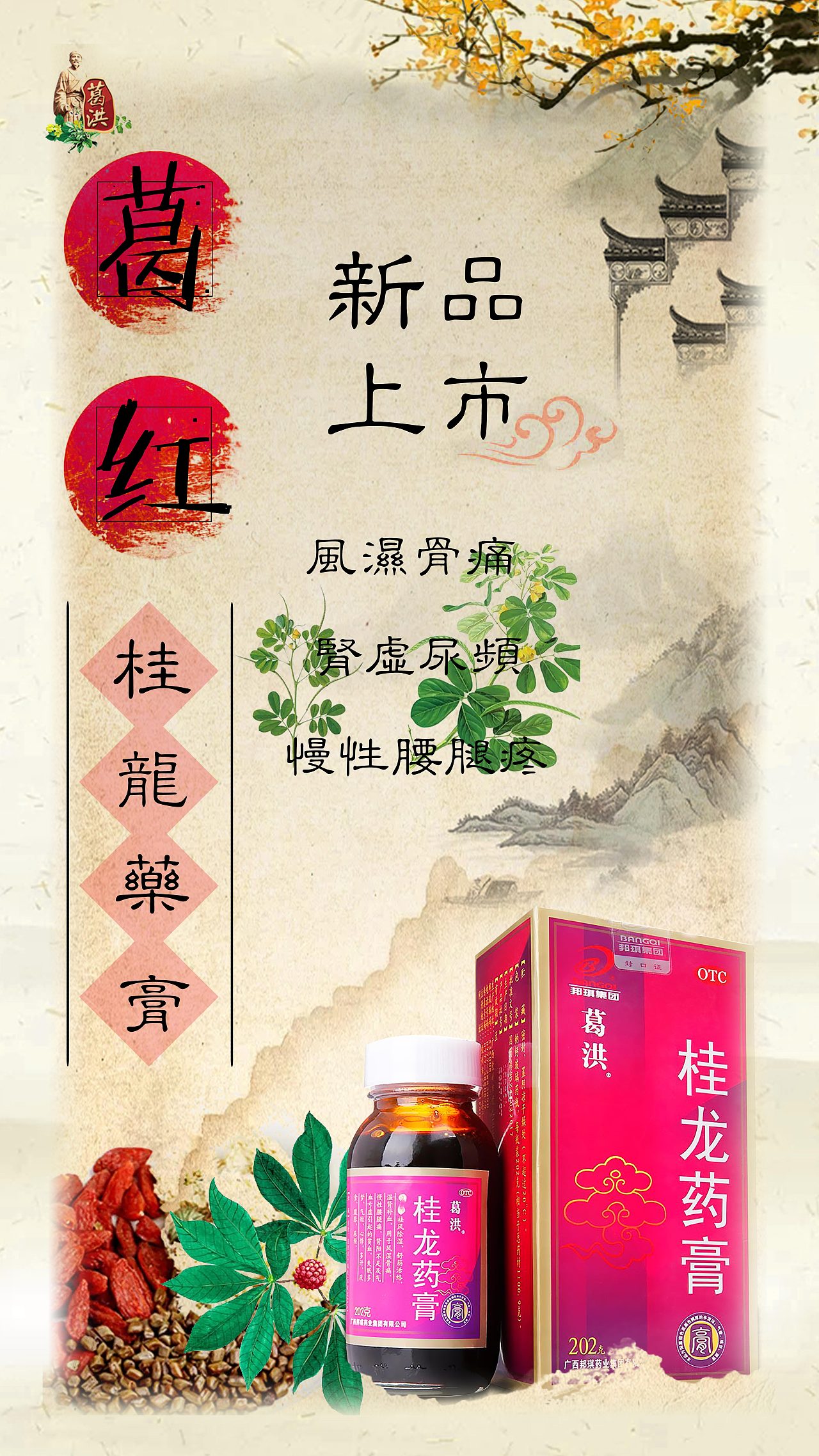 葛洪桂龙药膏