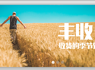 金丰公社app界面设计