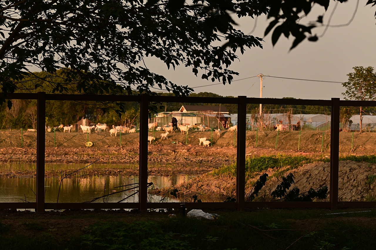 摄影小记📸(^_^)