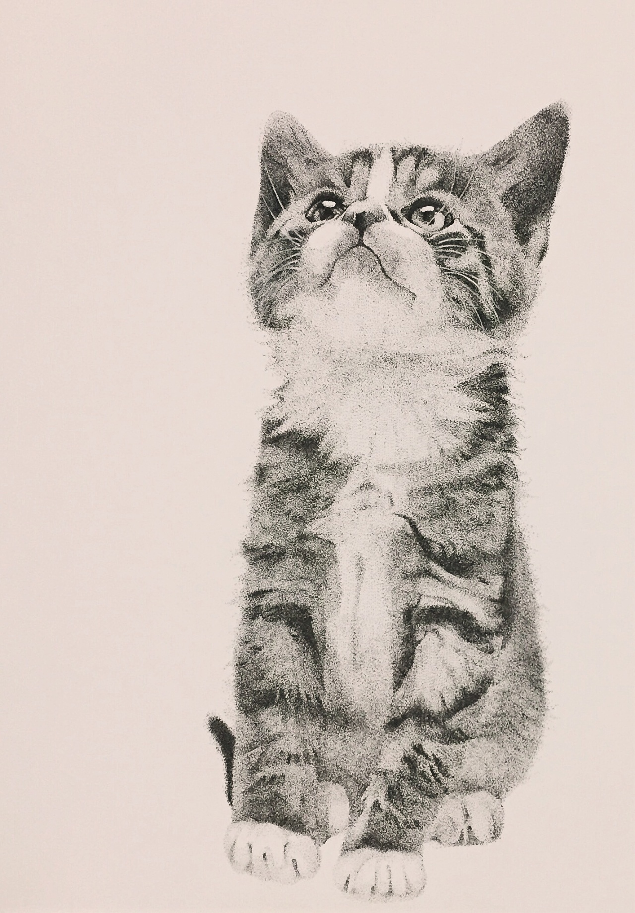 针管笔点绘宠物