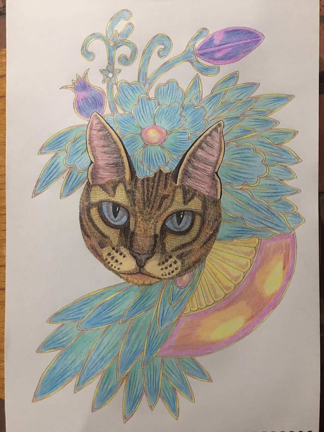 我画的【猫头与花】（图ZMjMwNzE3NzIw） - 绘画 - 站酷设计师6黄柱成9原创素材 - 站酷ZCOOL