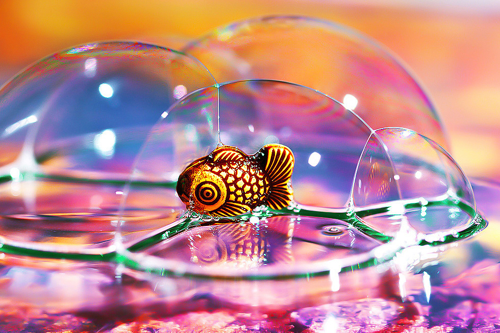 为自己的摄影(九)