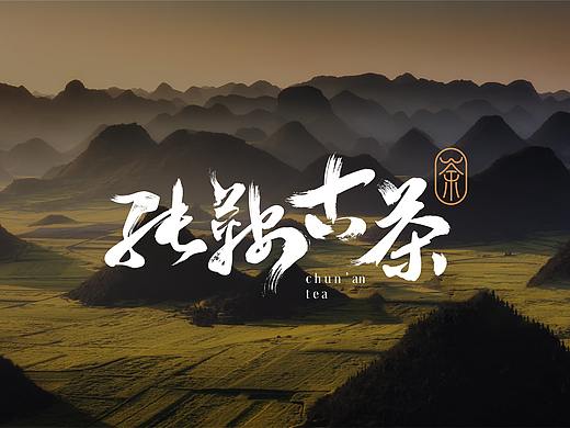 普洱茶饼包装设计