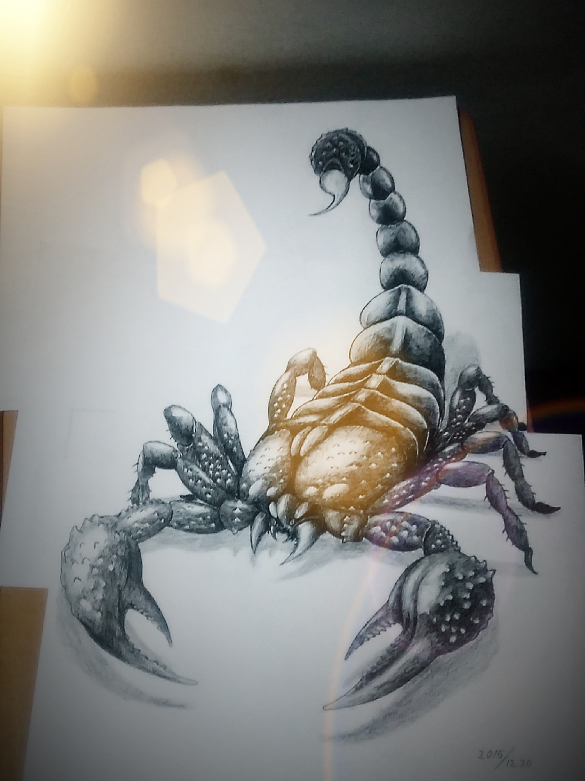 3d蝎子手绘设计